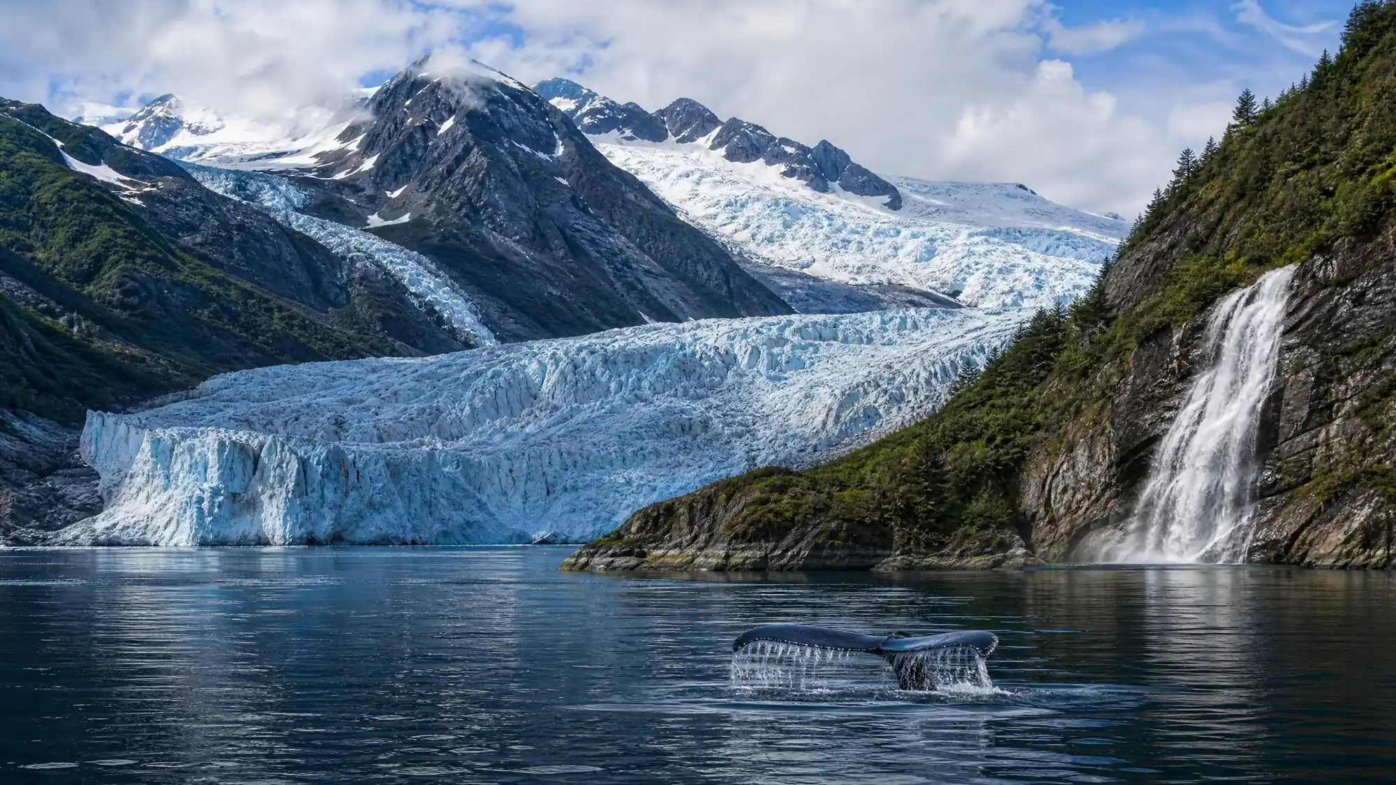 Ve un río de hielo de 13 millas y avista ballenas jorobadas en un solo día. Juneau ofrece senderos accesibles y tours fiables de fauna marina.
