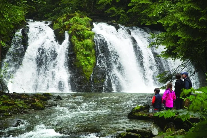 Una familia está de pie mirando una cascada caudalosa durante su tour.